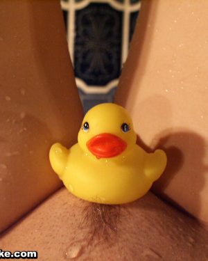 Sexy Pattycake Ducks And Daises